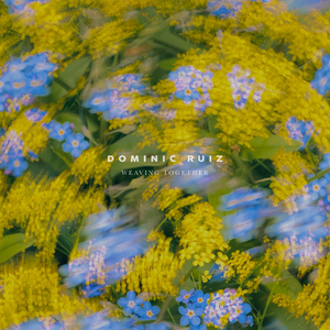 偷玩熟睡中的熟妇
